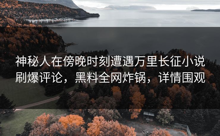 神秘人在傍晚时刻遭遇万里长征小说刷爆评论，黑料全网炸锅，详情围观